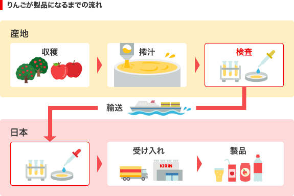 りんごが製品になるまで